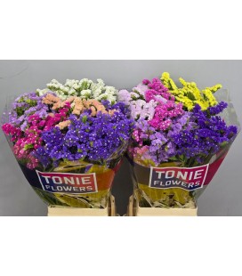 Statice Mélangé dans la botte 80 cm