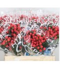 Hypericum Coco tango 60 cm