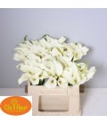 Calla Crystal Blush 35 cm