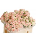 Rose Branchue Happy Wedding 50 cm