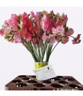 Poids de senteur susnch pink