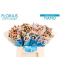 Hypericum coco Tiamo 40 cm