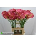 Calla ov 70 cm