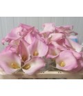 Calla Captaine Marrero 50 cm