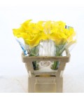 Calla Captaine Solo 55 cm