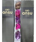 Vanda mix X 5