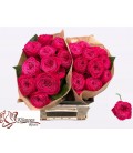 Rose Just More 40 cm