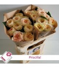 Rose Priscilla 60 cm