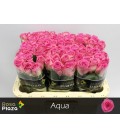 Rose Aqua 60 cm x 10