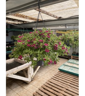 Suspension fleurie Ø 27
