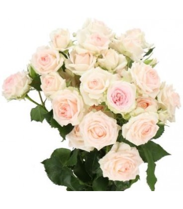 Rose Branchue Happy Wedding 60 cm