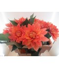 Dahlia Nicholas 55 cm