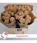 Rose Cappuccino 60 cm