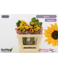 Tournesol sunova 50 cm