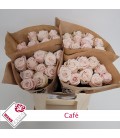 Rose Café 40 cm