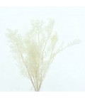Ruscus Stab Soft blu 70 cm x 10