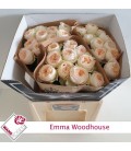 Rose Emma Woodhouse 60 cm