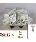 Calla Ice Art 50 cm