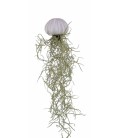 Tillansia Ø 5 deco