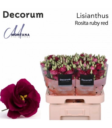 Lisianthus Rossi Red 