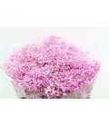Gypso teinté rose pale
