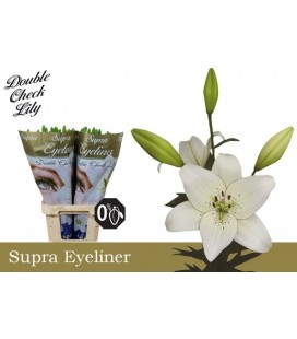 Lys Eyeliner 90 cm