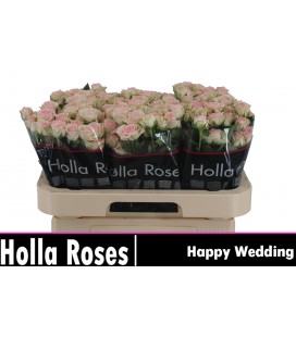 Rose Branchue Happy Wedding 50 cm
