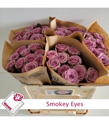 Rose Smokey eyes 50 cm