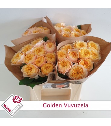 Rose Golden  Vuvuzela 40 cm