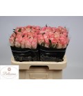 Rose Rhoslyn 60 cm