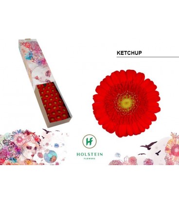 Germini Ketchup