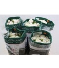 Rose Branchue White Majolika 60 cm