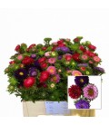 Reine margerite 55 cm la botte
