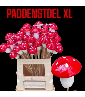 Pics champignon rouge poids x 10