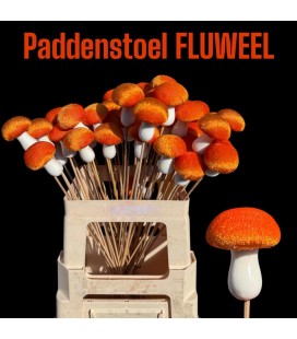 Pics Champignon orange velour x 10