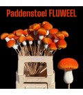 Pics Champignon orange velour x 10
