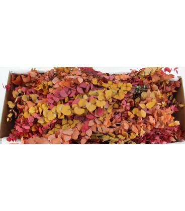 Eucalyptus stuart auto la bte 150 g
