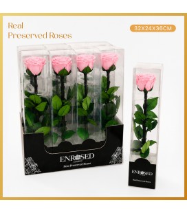 Rose Stab Rose 35 cm