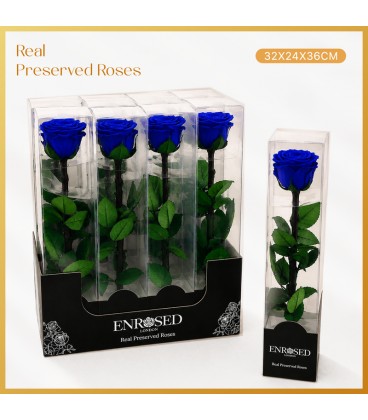 Rose stab Bleu 35 cm