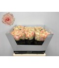 Rose Harmony Peach 60 cm