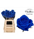 Rose teinté 65 cm bleu