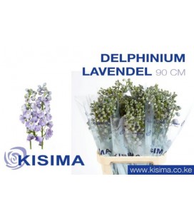 Delphinium Mag Laven 70 cm