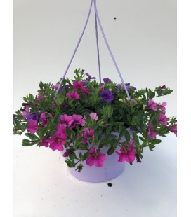 Suspention Mix pot de 27 H40