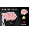 Rose Sweet Dolomiti 55 cm