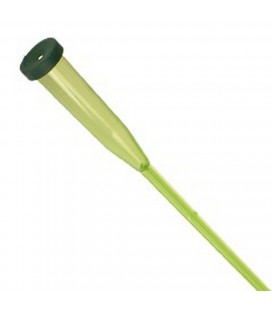 Pipette sur Pic 50 Cm Boite de 100