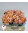 Rose Vuvuzela 50 cm