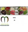 Anthurium mix par 10 Extra