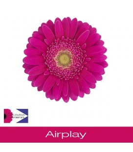Germini Airplay