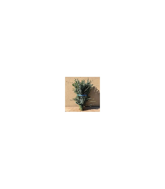 Eucalyptus Baby blue 300g