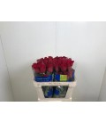 Rose Freedom 65 cm